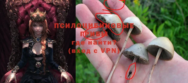гашишное масло Медногорск