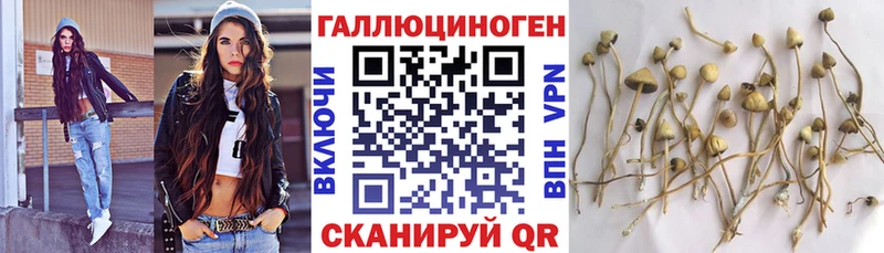 Галлюциногенные грибы Cubensis  кракен сайт  Сычёвка 